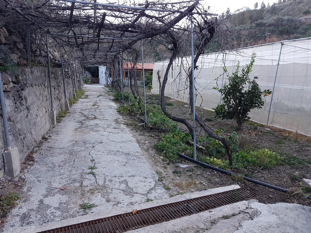 Casa Rural La Hoyita de Tunte San Bartolomé Exterior foto