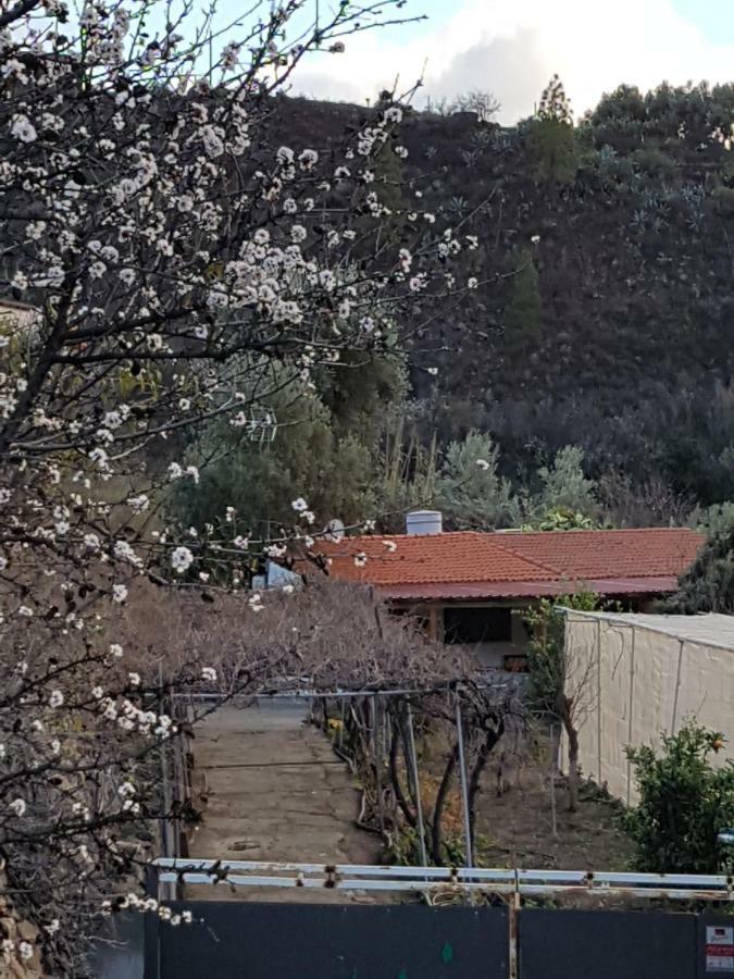 Casa Rural La Hoyita de Tunte San Bartolomé Exterior foto